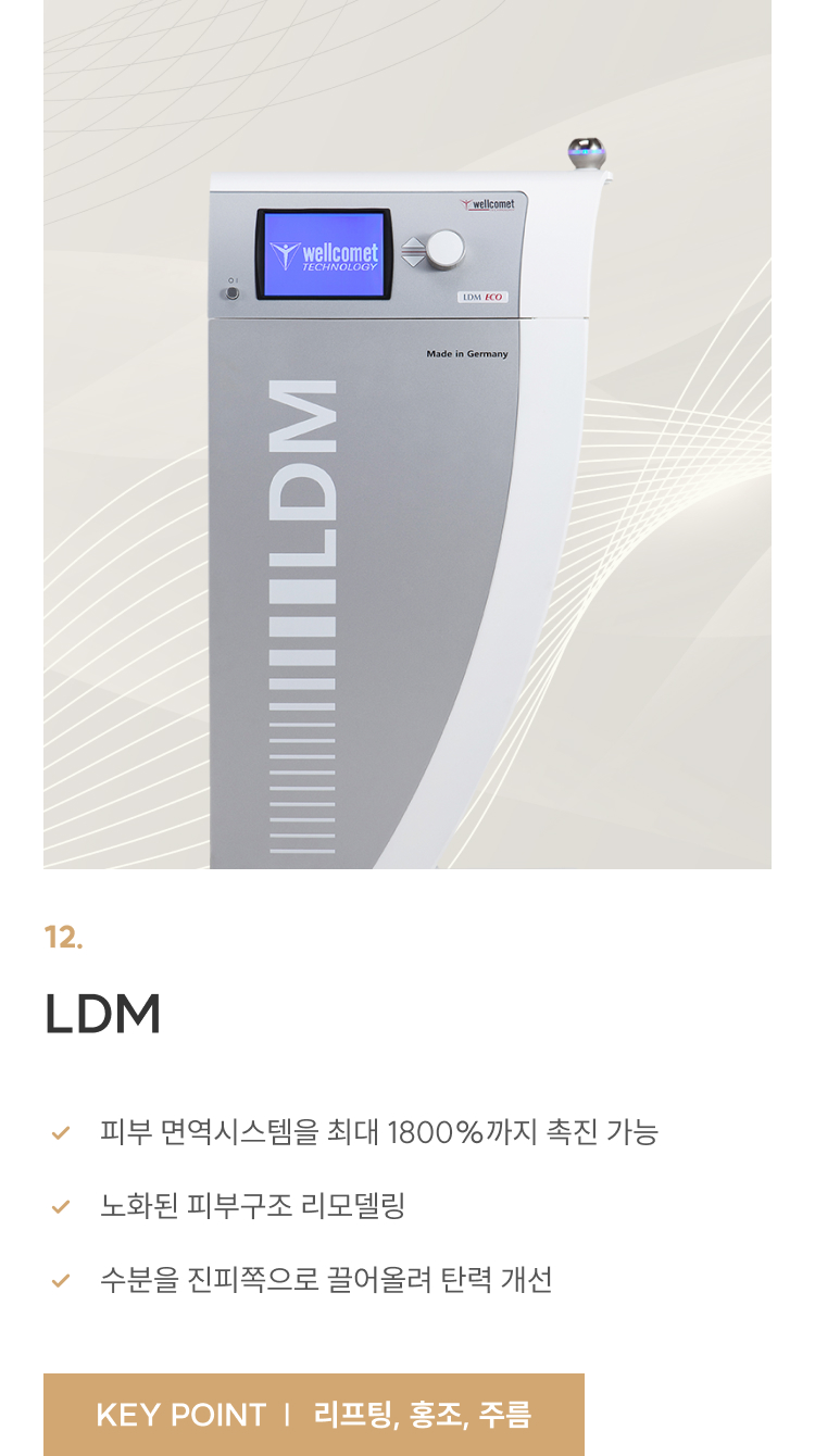 스노우 장비 LDM / KEY POINT 리프팅,홍조,주름